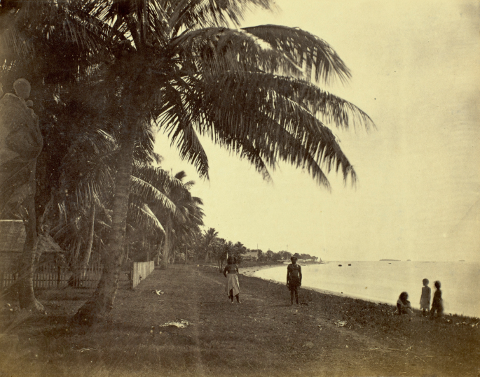 A photograph of a beach with palm trees and a few people walking.