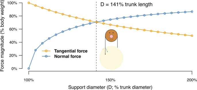 PDF) The Ecology of Trunk-To-Trunk Leaping in Saguinus fuscicollis :  Implications for Understanding Locomotor Diversity in Callitrichines