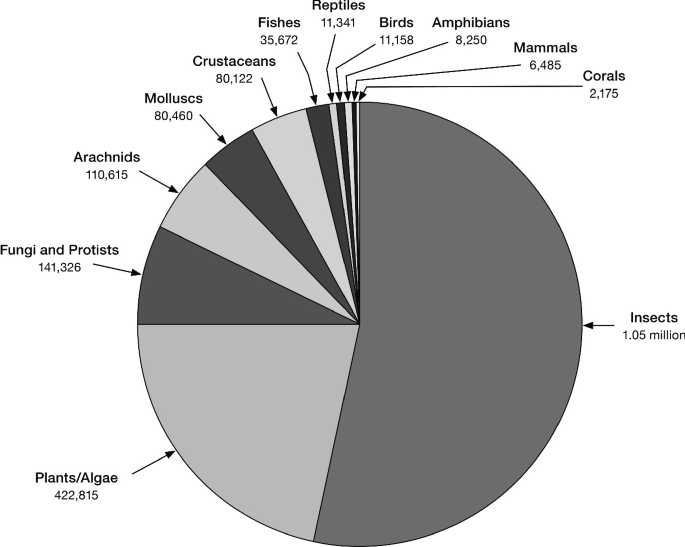 A pie chart estimates the relative proportions of described species. The values are Insect, 1.05 million. Plants or algae, 422,815. Fungi and Protists, 141,326. Arachnids, 110,615. Molluscs, 80,460. Crustaceans, 80,122. Fishes, 35,672. Reptiles, 11,341. Birds, 11,158. Amphibians, 8,250. Mammals, 6,485. Corals, 2,175.