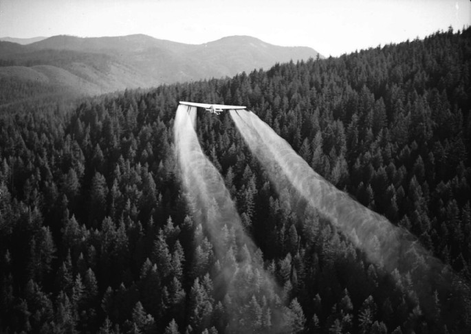 An aerial photograph of the application of D D T insecticides through a fixed-wing aircraft over a forest area in which the trees are clearly visible. The plane sprays the chemical over the trees, leaving a trail of mist behind it.