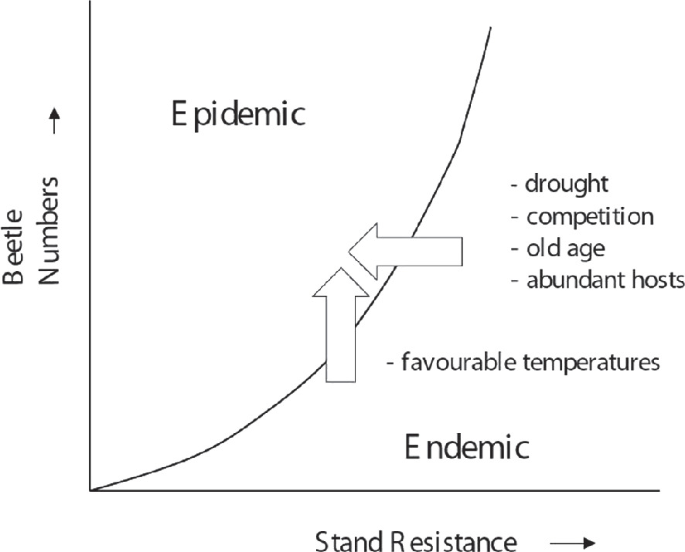 A line graph with an exponentially increasing trend depicts the beetle numbers with respect to the stand resistance. A leftward arrow indicates drought, competition, old age, and abundant hosts. An upward arrow indicates the favorable temperature from the endemic to the epidemic region.