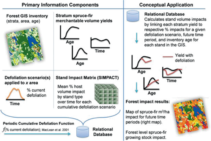 An illustration depicts the information sources and conceptual application of the Spruce Budworm Decision Support System to calculate the impacts of spruce budworm on the volume of spruce-fir stands.