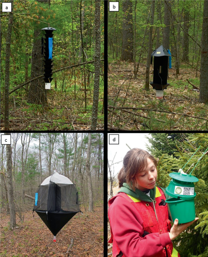 4 photographs of multiple funnel, intercept panel, and canopy malaise traps installed in the midst of a central area of the forest in a to c, and a woman checks the collected Lepidoptera in a unitrap installed in a forest in d.