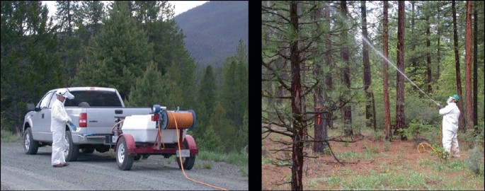 2 photographs. A photo of a man who stands beside a truck connected with a ground-based sprayer machine on a roadside with trees and hills in the background, on the left. A photo of a man in a fully covered dress saturates the surfaces of the tree bole with liquid formulations of contact insecticide using a ground-based sprayer at high pressure from the ground, on the right.