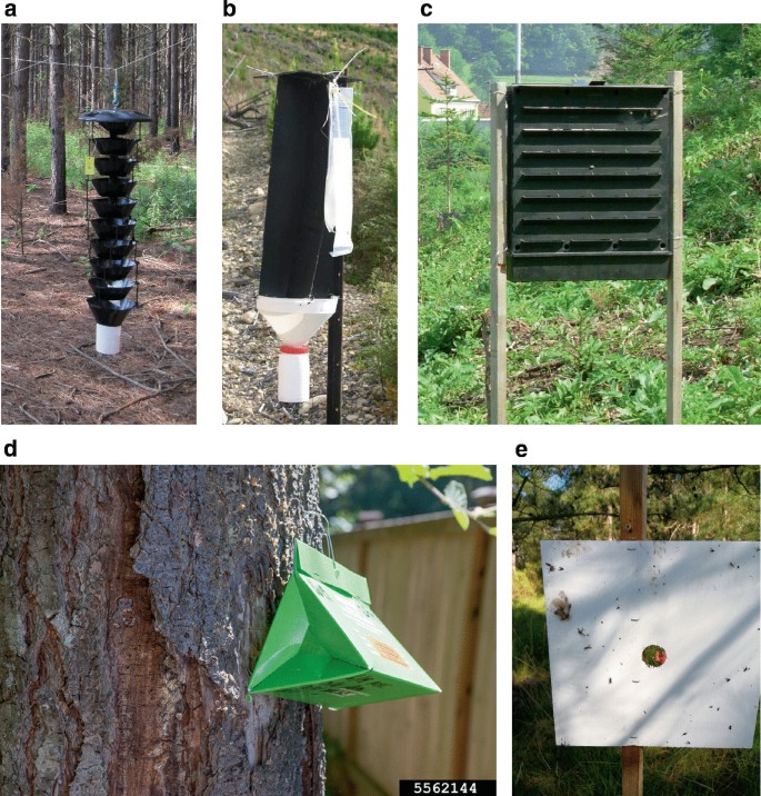 A set of 5 photos represent the fly trap mechanisms like a funnel-shaped trap, inverted bottled trap, board-shaped trap, small bag attached to the trunk and a sticky plate trap.