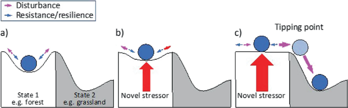 A set of 3 diagrams for cup and ball model. Diagram A shows state 1 as forest and state 2 as grassland. Diagram B shows the novel stressor on the ball and C depicts the tipping point of the ball before declining to the dip.