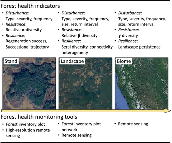 A set of bullet points are given for forest health indicators and forest health monitoring tools. The 3 aerial maps are given for stand, landscape, and biome. The indicators are disturbance, resistance, and resilience.