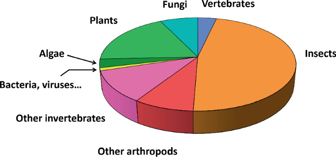 A pie chart of insects, vertebrates, fungi, plants, algae, bacteria, viruses, other vertebrates, and other arthropods. Insects have the highest value, and bacteria and viruses have the lowest value.