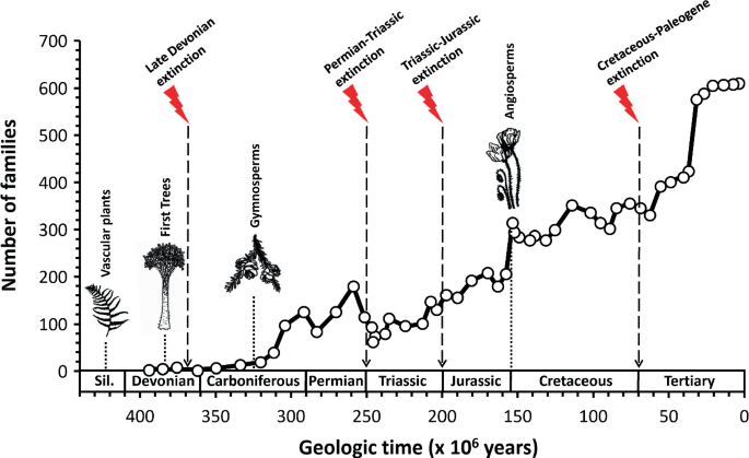 A graph of the number of families versus geologic time is increasing over the years. The geologic time is divided into Silurian, Devonian, Carboniferous, Permian, Triassic, Jurassic, cretaceous, and tertiary.