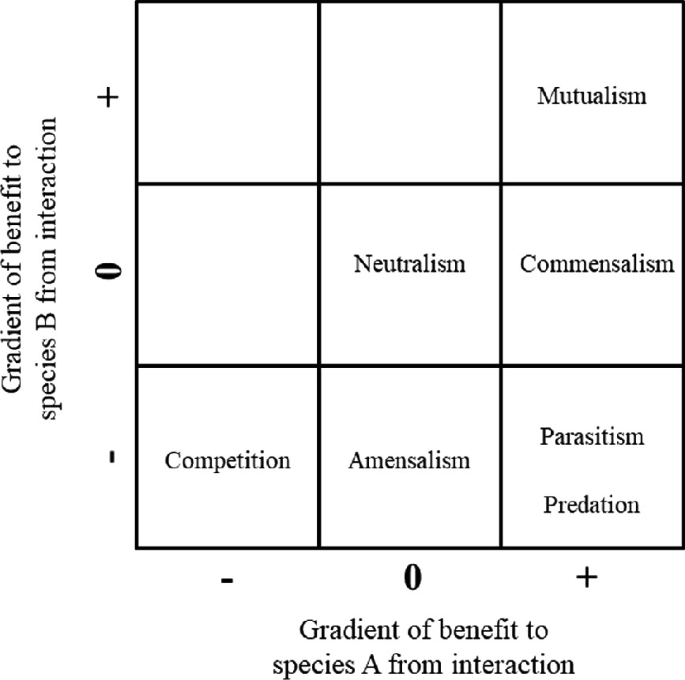 A 3 cross 3 matrix compares the gradient of benefit to species B and A from the interaction. The various interactions are competition, neutralism, amensalism, mutualism, commensalism, parasitism, and predation.