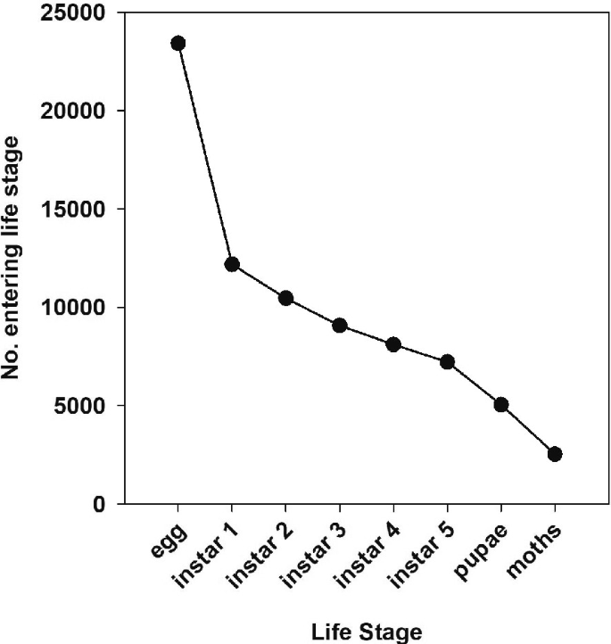 A graph of the number of individuals entering the life stage versus the life stage. The population starts at about 25000 and eventually drops to less than 5000 as they develop into moths.