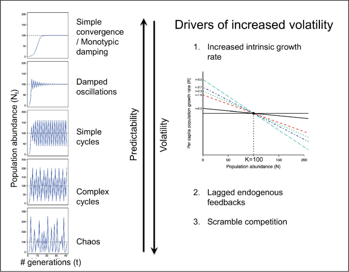 5 waveforms comparing population density versus generations. Intrinsic growth rate, lagging endogenous feedback, and scramble competition are the main causes of increased volatility.