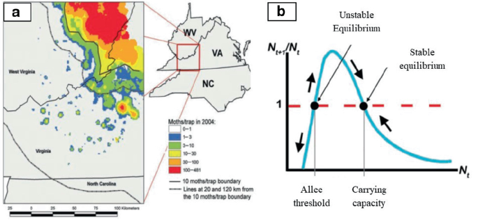 Map A plots the moth traps in 2004 and moth boundaries. B is a plot for N subscript t plus 1 over N subscript t over N subscript t. The curve is marked with 2 points for Allee threshold and carrying capacity. The first point is the unstable equilibrium and the second is the stable equilibrium.