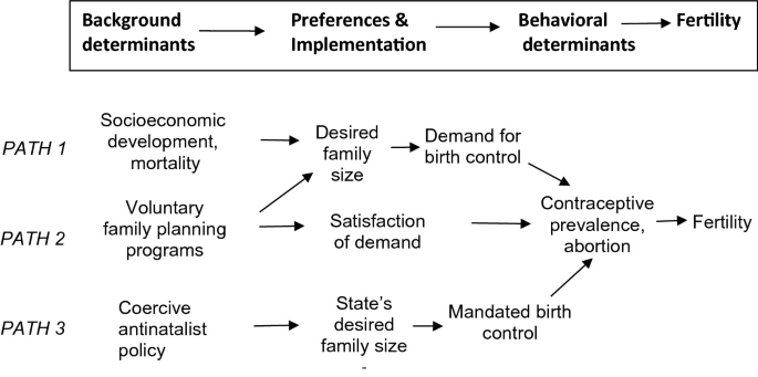 An illustration depicts the framework for the determinants of fertility. 1. Background determinants, 2. Preferences and Implementation, 3. Behavioral determinants, and 4. Fertility. It lists three paths labeled path 1, path 2, and path 3. They all lead to fertility as their endpoint.
