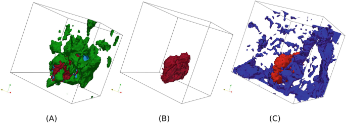 Three 3-dimensional images. A has more green areas. B has a single red-colored structure. C has more concentration of dark blue area with a small red area.