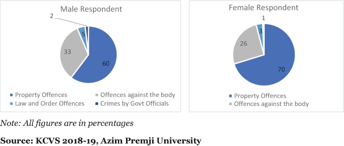 Percentage of respondents who have experienced crime in NMMM