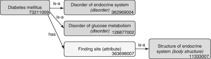 A diagram begins with diabetes mellitus leads to disorder of the endocrine systems, a disorder of glucose metabolism, and finding site, further leads to structure of the endocrine system.
