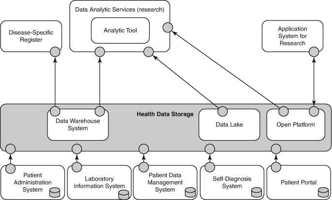 An illustration exhibits the patient administration system, laboratory information system, patient data management system, self-diagnosis system, and patient portal leading to health data storage. The data warehouse system, data lake, and open platform in the health data storage then communicate with disease-specific register, data analytic services, and application system for research.