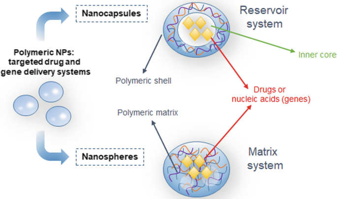DHM Targeted Delivery Systems DHM Targeted Delivery Systems