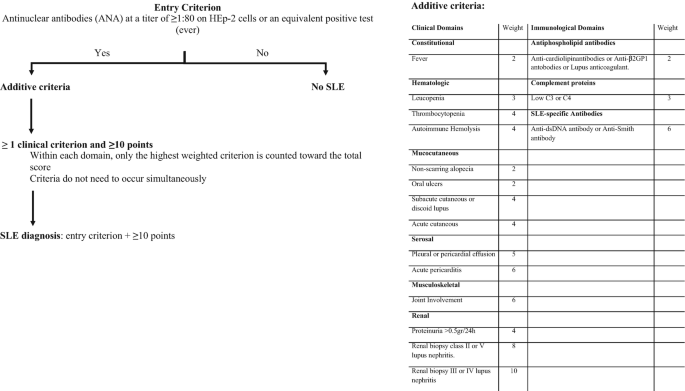 A page of entry criteria and additive criteria. Entry criteria test finds A N A on H E p 2 cells. If A N A presents, it leads to additive criteria and finally goes to S L E diagnosis. The page has a table of 23 rows and 4 columns titled additive criteria, and the column headers are clinical domains, weight, immunological domains, and weight.