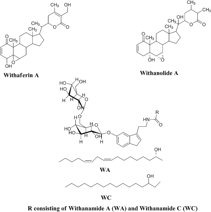 The chemical structures represent withaferin A, withanolide A, withanamide A, and withanamide C.