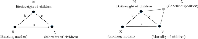 A set of two illustrations, A depicts the relationship between smoking mother, mortality of children, and birth weight of children. B is the same as A but includes genetic disposition too.