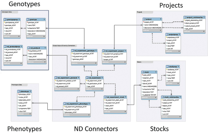 A schematic representation of the relationship between the genotypes, phenotypes, projects, and stocks with N D connectors.