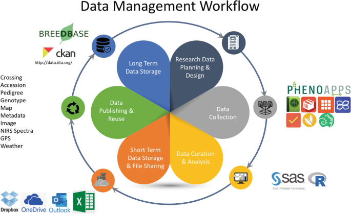 A data management workflow cycle. The steps are plan and design, collection, curation and analysis, share, publish and reuse, and long-term storage.