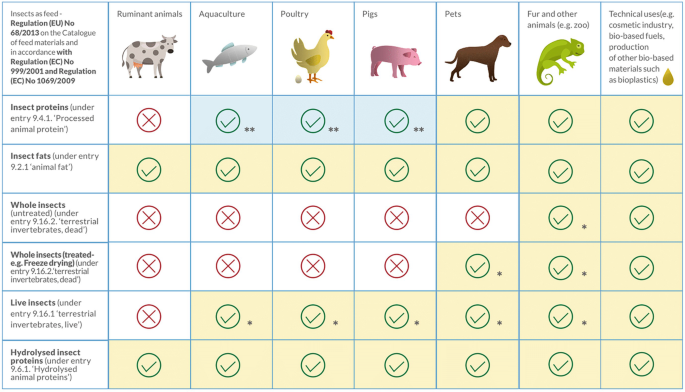 PDF) EDIBLE INSECTS future prospects fo food and feed security