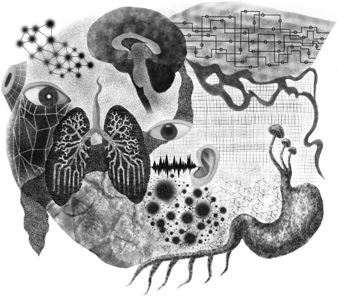 An image of modern art illustrates the mechanism of hearing and some internal and external organs arranged randomly.