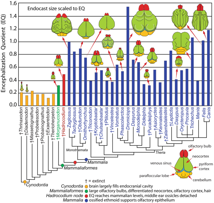 figure 20