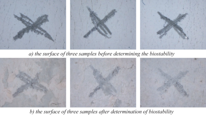 Six photographs of paint coating sample with activated kaolin. Row 1 has prominent dark stains before biostability, while row 2 has light stains post-biostability.