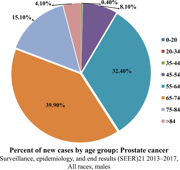 A pie chart depicts the percent of new cases according to the age groups of 0-20, 20-34, 35-44, 45-54, 55-64, 65-74, 75-84, and over 84. Age groups 65&#x2013;74 have the most cases, while age groups 35&#x2013;44 have the least.