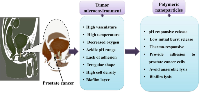 A diagram depicts the tumor microenvironment including high vasculature, high temperature, decreased oxygen, and a biofilm layer and polymeric nanomaterials including pH-responsive release, thermo-responsive, and biofilm lysis of prostate cancer.