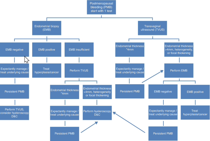 Diagnosis and Management of Postmenopausal Bleeding