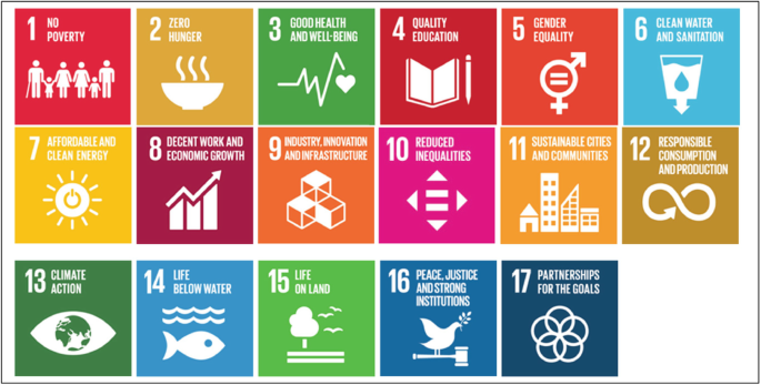 An image depicts 17 development goals. They are no poverty, zero hunger, good health and well-being, quality education, gender equality, clean water and sanitation, affordable and clean energy, etc.