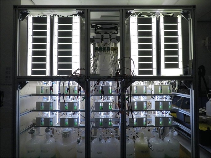 A photograph of a fully inoculated living architecture wall aimed at turning household waste into valuable resources has a well lit closed transparent setup with containers and tubes connected with inoculated medium and other components.