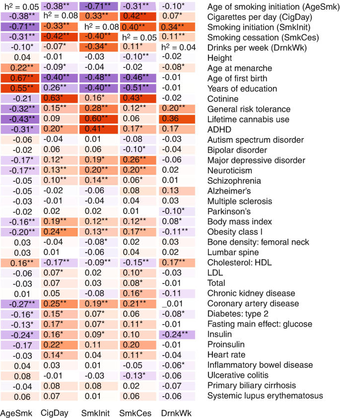 A table contains five columns and thirty-nine rows. It described the age of smoking initiation, cigarette per day, smoking initiation, smoking cessation, drinks per week, height, age at menarche, etc.