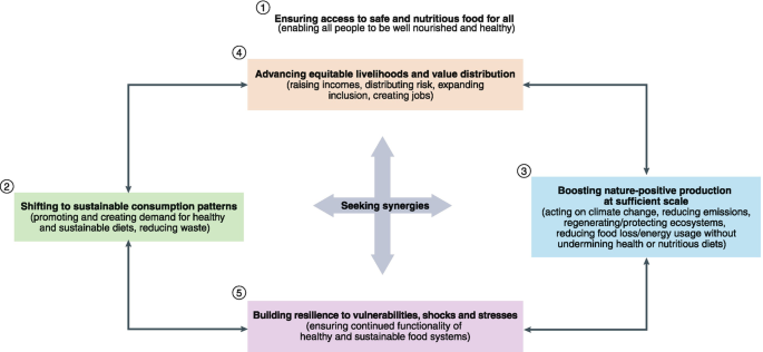 A model diagram represents the ensuring access to safe and nutritious value distribution of food system for seeking and synergies among four tracks.