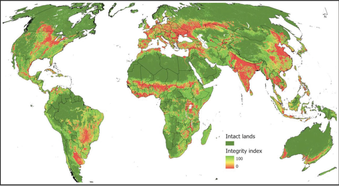 The world map represents the intact land and integrity index for the distribution of biodiversity intactness and ecological integrity, where the intact land occupies more area.