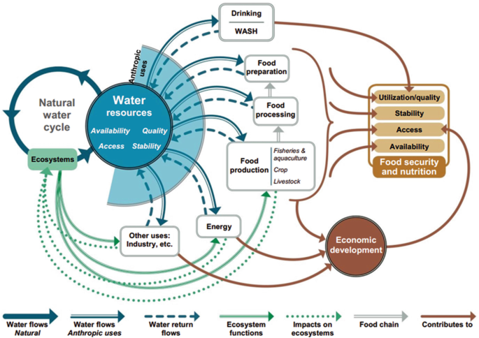 A model diagram represents the connection between water resources and food security and nutrition, economic development with the uses of anthropic and ecosystem.