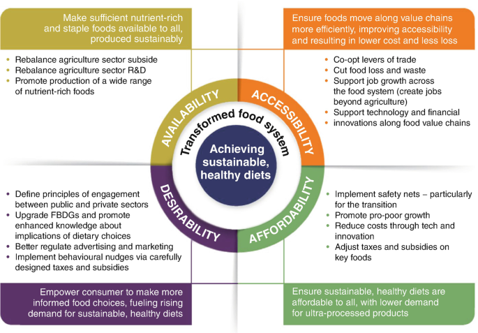 A model diagram depicts the transformed food system in the direction of achieving sustainable, healthy diets. It includes specific important points for Availability, Accessibility, Desirability, and Affordability.