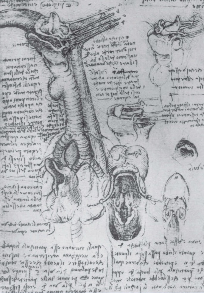 A Cultural History of the Larynx and Voice | SpringerLink a-cultural-history-of-the-larynx-and-voice-springerlink