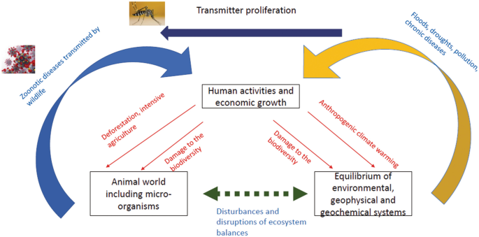 An illustration defines the disturbances and disruptions of ecosystem balances due to human activities like deforestation and economic growth which leads to damage to biodiversity resulting in zoonotic diseases, global warming which favors proliferation of mosquitoes and floods etcetera.