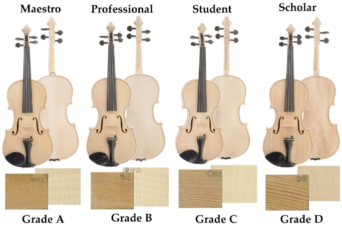 melodramatiske entusiasme oversættelse The Effect of Resonance Wood Quality on Violins Vibration | SpringerLink