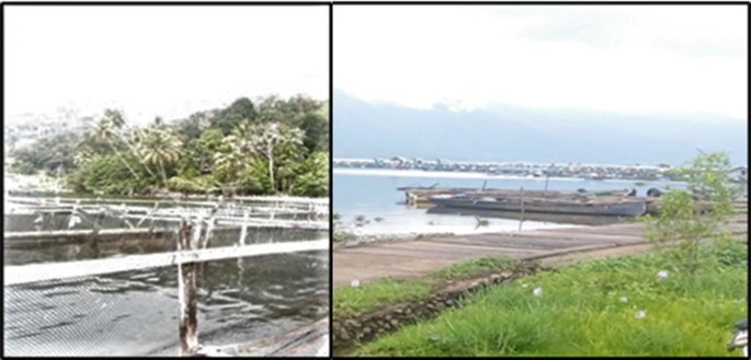 Two photos describe using of the management of cage aquaculture in Lake Maninjau. The water is surrounded by plants and trees.