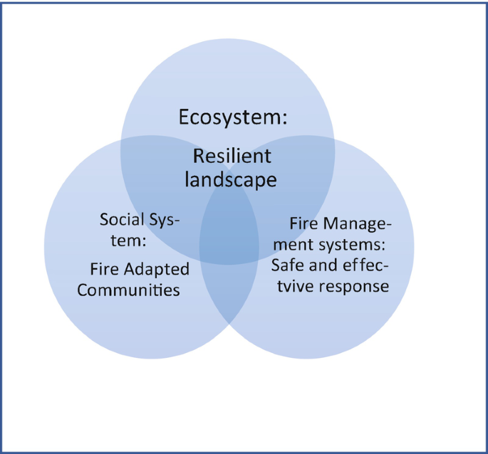A venn diagram of the Fire management strategy model depicts fire-adapted communities, safe and effective response, and ecosystem at the top.
