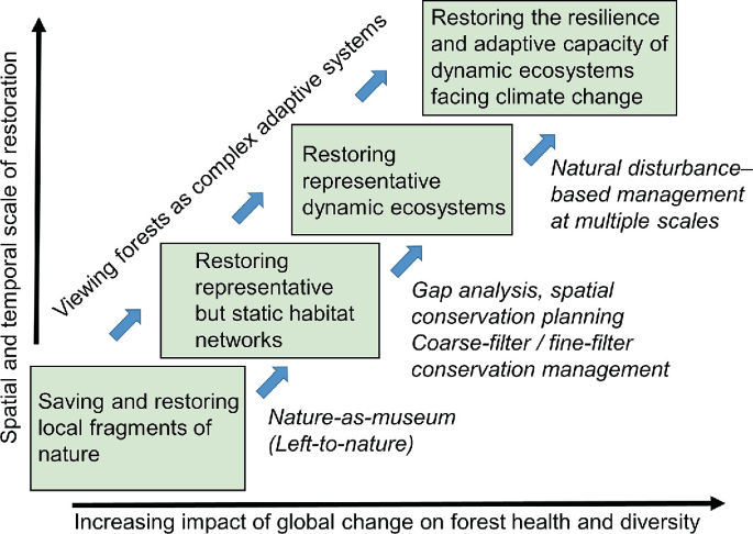 A graph of spatial and temporal scale of restoration versus increasing impact of global change on forest health and diversity. It provides steps adopted by viewing forests as complex adaptive systems.