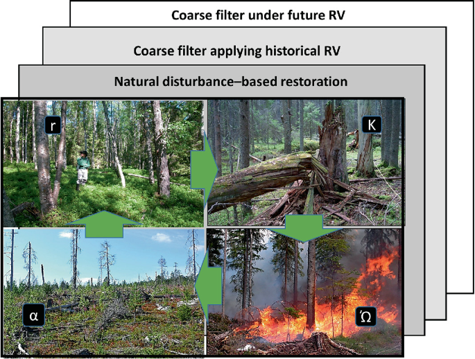 An illustration depicts 4 photos in a cycle as follows: r, K, omega, and alpha. 3 layers beneath this cycle have these labels: natural disturbance-based restoration, coarse filter applying historical R V, and coarse filter under future R V.