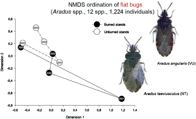 A graph of N M D S ordination of Aradus angularis and Aradus laeviusculus. They depict dimension 2 of burned and unburned stands with respect to dimension 1 of the flat bugs.
